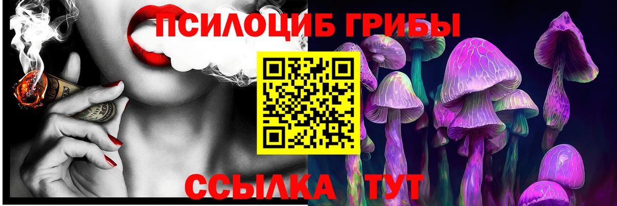 Галлюциногенные грибы мицелий  Псилоцибиновые грибы Psilocybine cubensis  как найти   Вход с VPN  Долгопрудный 